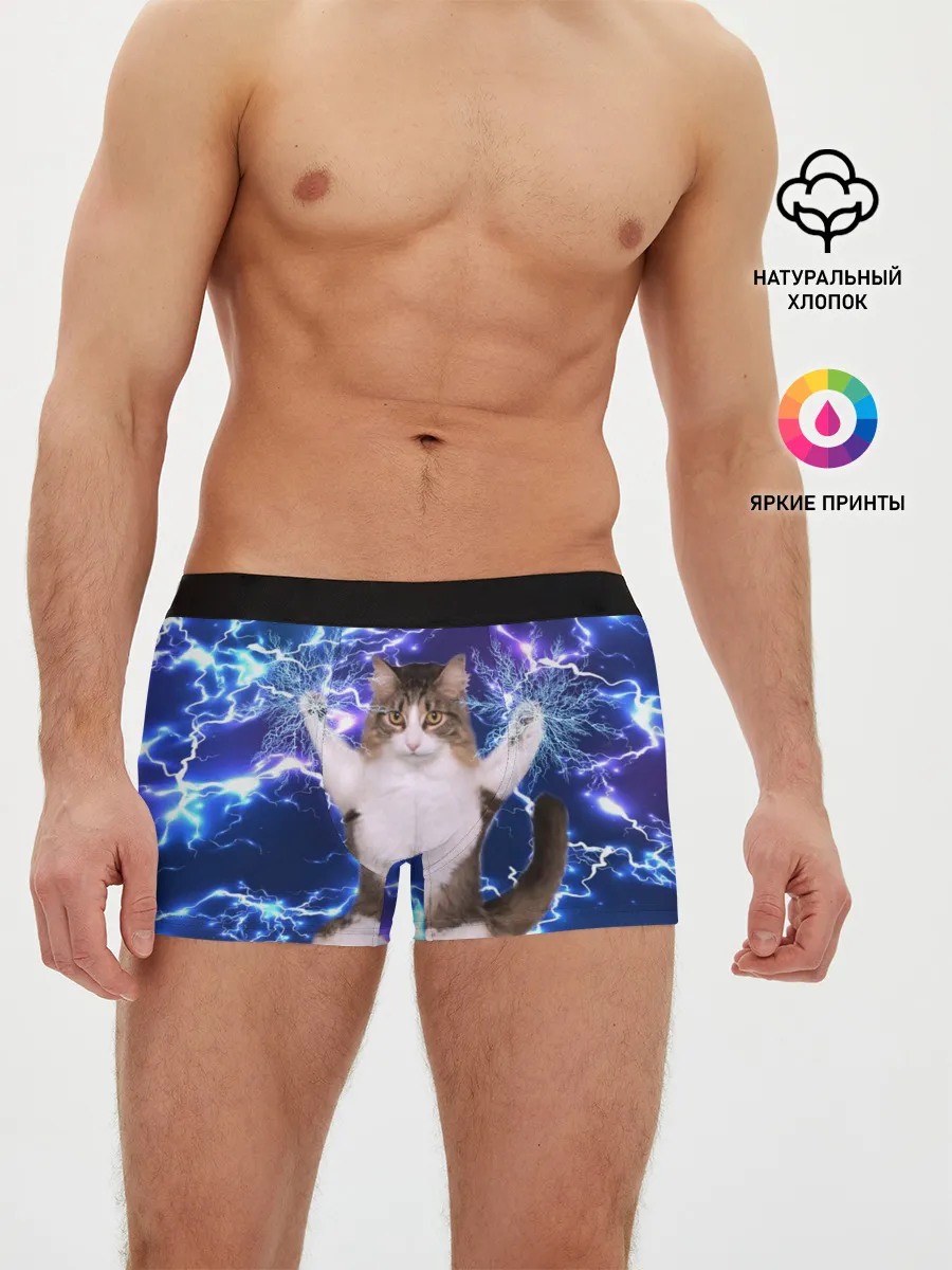 Мужские трусы боксеры / Грозовой Котик