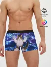 Мужские трусы боксеры / Грозовой Котик