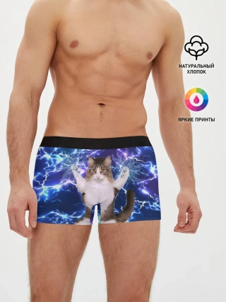 Мужские трусы боксеры / Грозовой Котик