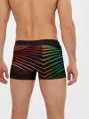 Мужские трусы боксеры / STRIPES COLOR