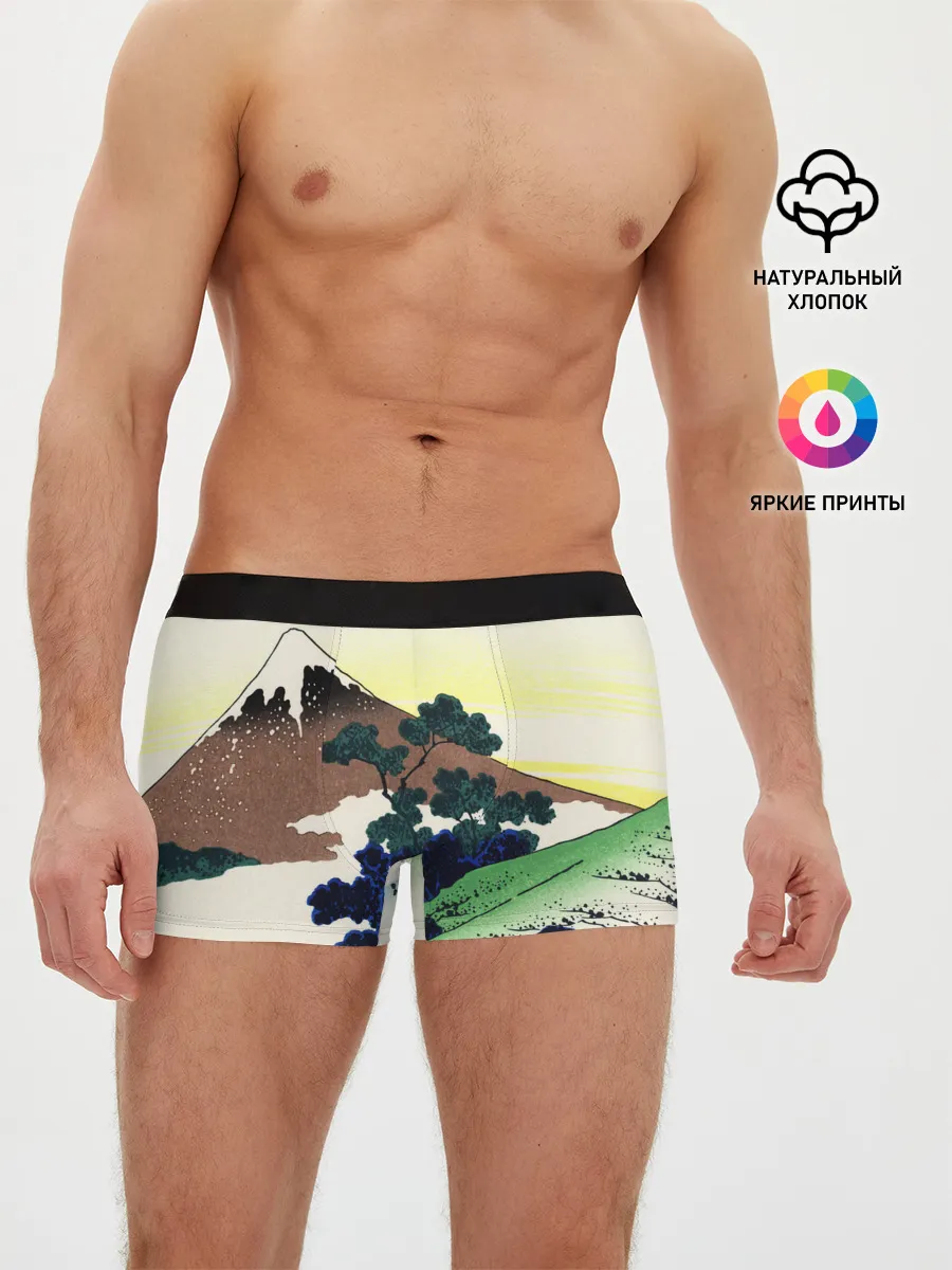 Мужские трусы боксеры / ЯПОНИЯ