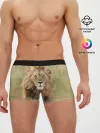 Мужские трусы боксеры / Lion King