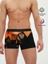 Мужские трусы боксеры / Россия