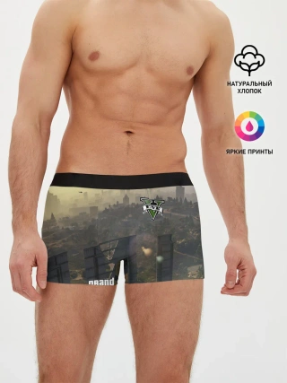 Мужские трусы боксеры / GTA V