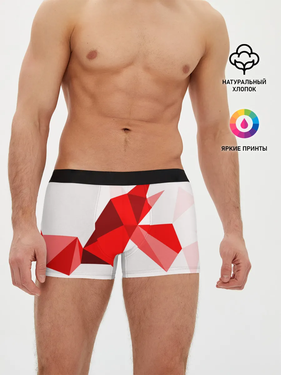 Мужские трусы боксеры / GEOMETRY RED