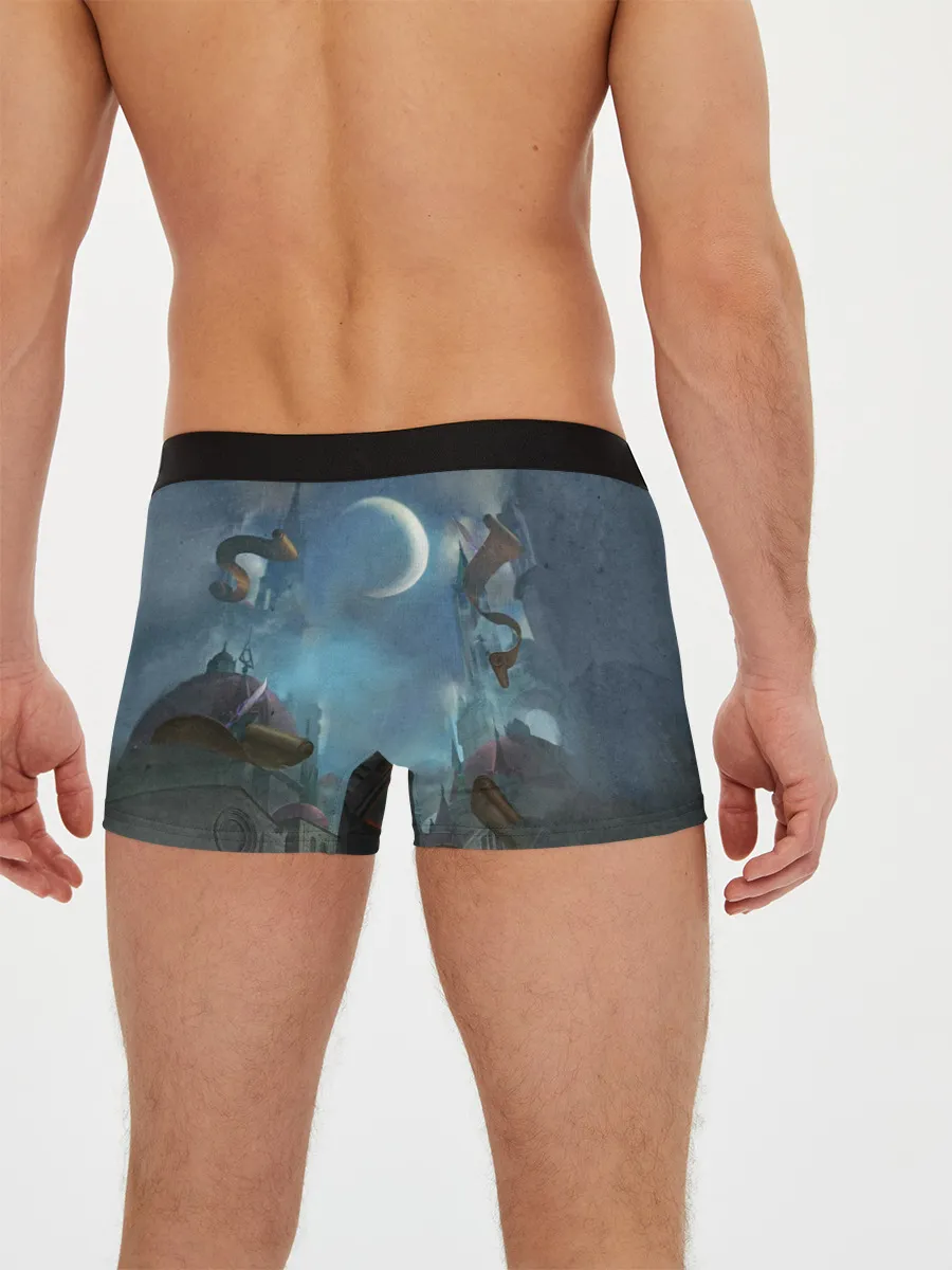 Мужские трусы боксеры / Tamiyo