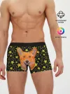 Мужские трусы боксеры / Corgi | Stars