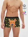 Мужские трусы боксеры / Corgi | Stars