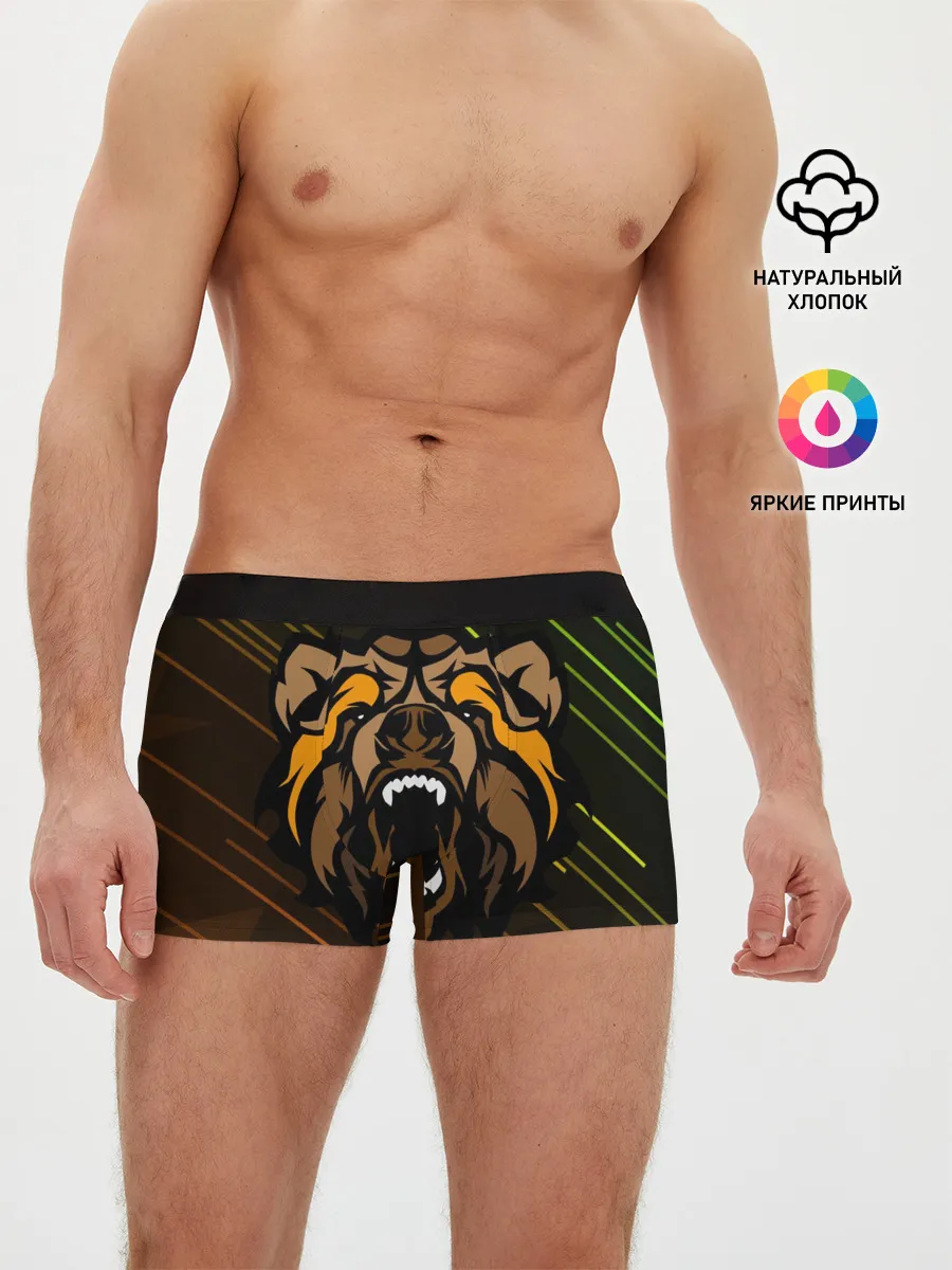 Мужские трусы боксеры / Angry Bear
