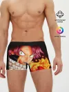 Мужские трусы боксеры / Нацу Хвост Феи