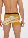 Мужские трусы боксеры / Хвост Феи оранжевые тона
