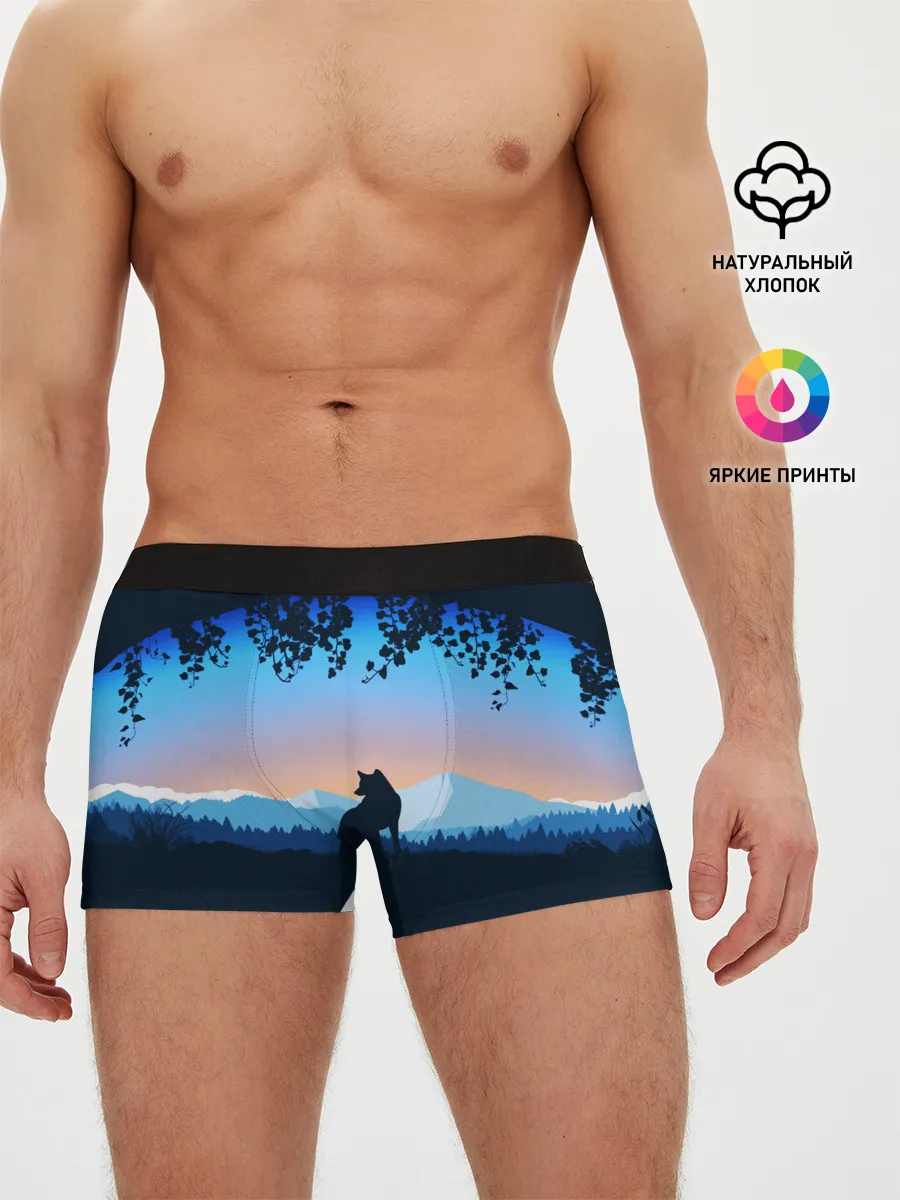 Мужские трусы боксеры / WOLF