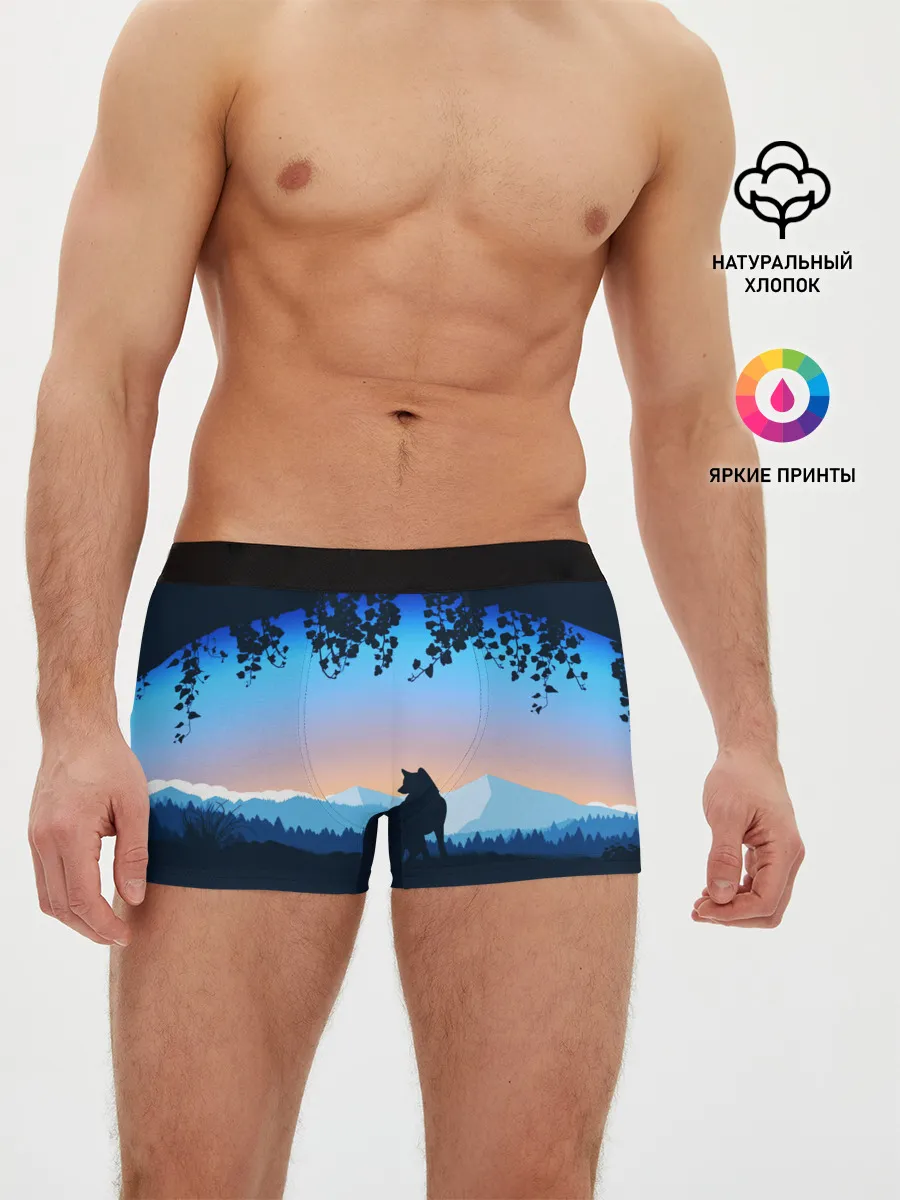 Мужские трусы боксеры / WOLF