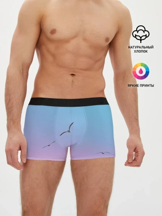 Мужские трусы боксеры / чайки птицы полет градиент