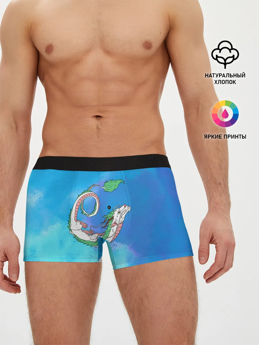 Мужские трусы боксеры / Унесенные призраками Хаку