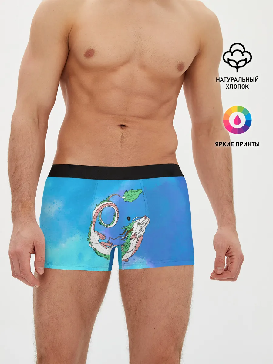 Мужские трусы боксеры / Унесенные призраками Хаку