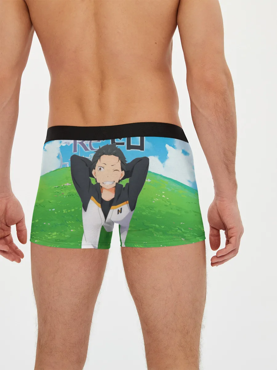 Мужские трусы боксеры / Echidna