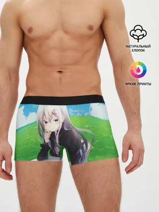 Мужские трусы боксеры / Echidna