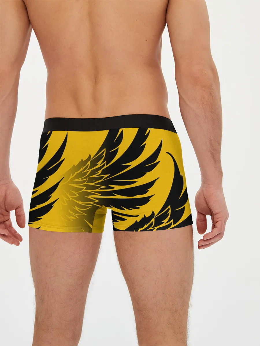 Мужские трусы боксеры / BALTMOTORS / КРЫЛЬЯ