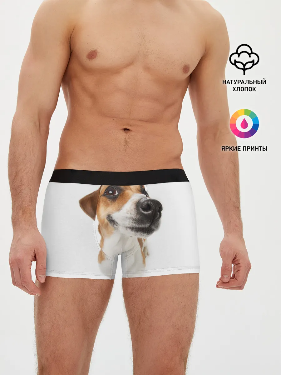 Мужские трусы боксеры / Собака