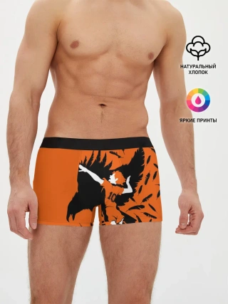 Мужские трусы боксеры / ХИНАТА | FLY!!
