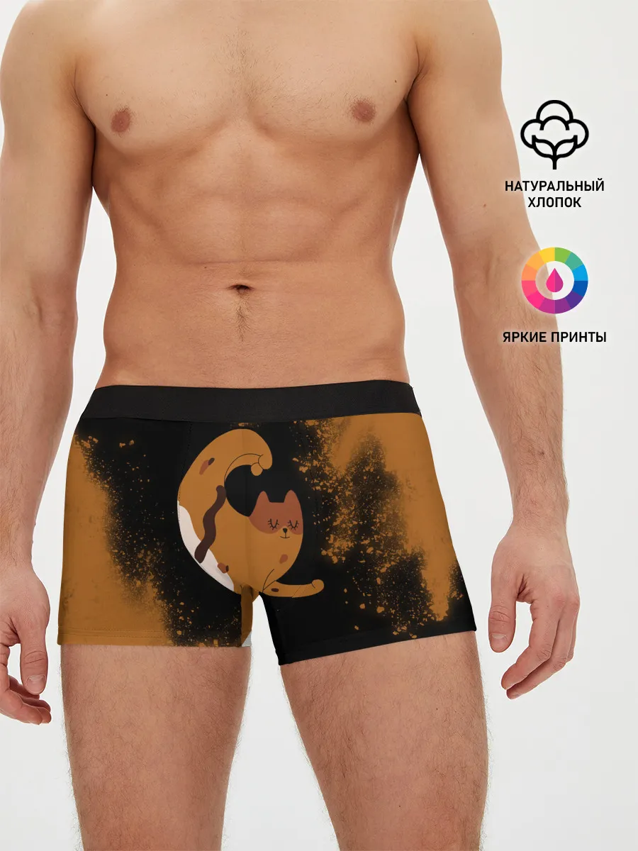 Мужские трусы боксеры / Кошачья Йога - Взрыв