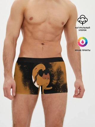 Мужские трусы боксеры / Кошачья Йога - Взрыв