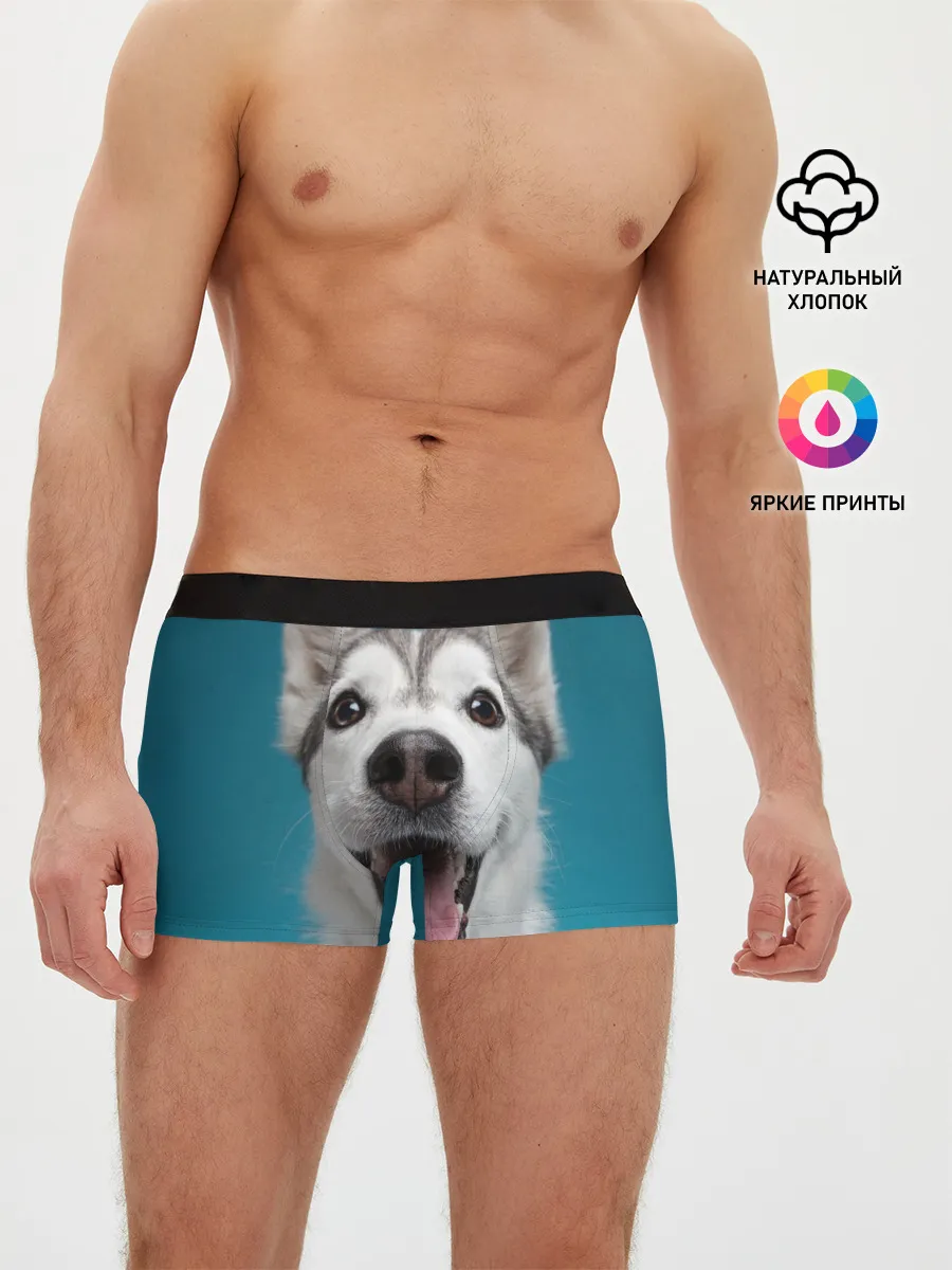 Мужские трусы боксеры / Хаски
