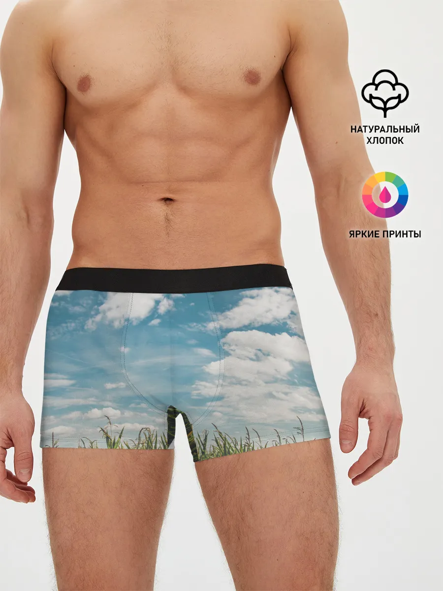 Мужские трусы боксеры / Небушко и полюшко