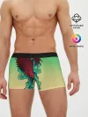 Мужские трусы боксеры / Дракон