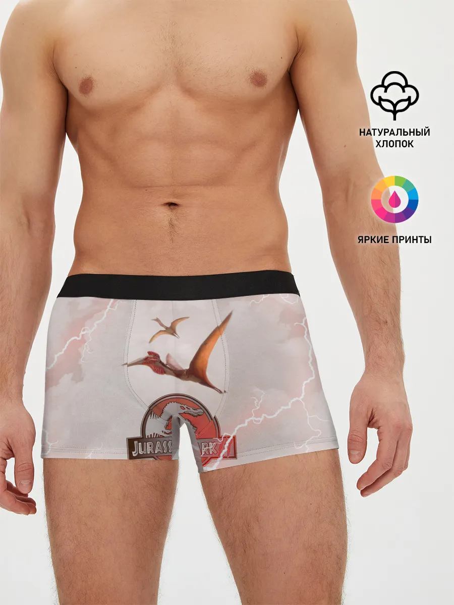 Мужские трусы боксеры / Птеродактили | Мир Юрского Периода