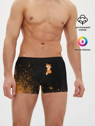 Мужские трусы боксеры / Foxy - Paint