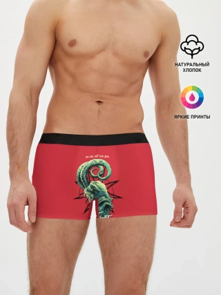 Мужские трусы боксеры / SLIPKNOT | СЛИПКНОТ