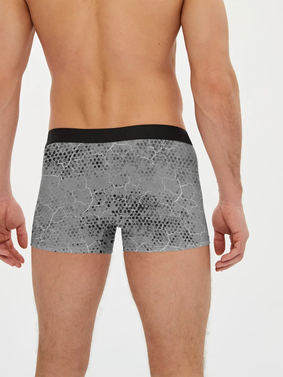 Мужские трусы боксеры / Змея и Тигр|Tiger Snake Fight