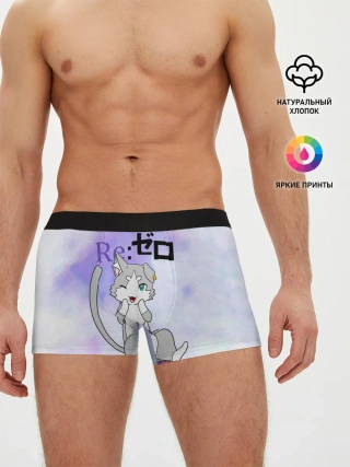 Мужские трусы боксеры / Пак / Re: Zero Фамильяр Эмилии