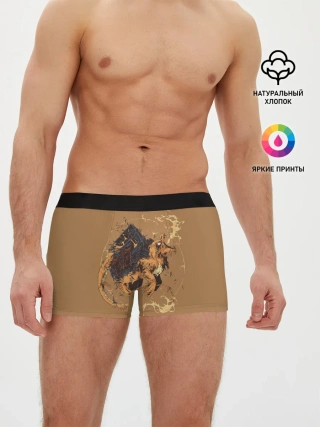 Мужские трусы боксеры / Дом Чермандера