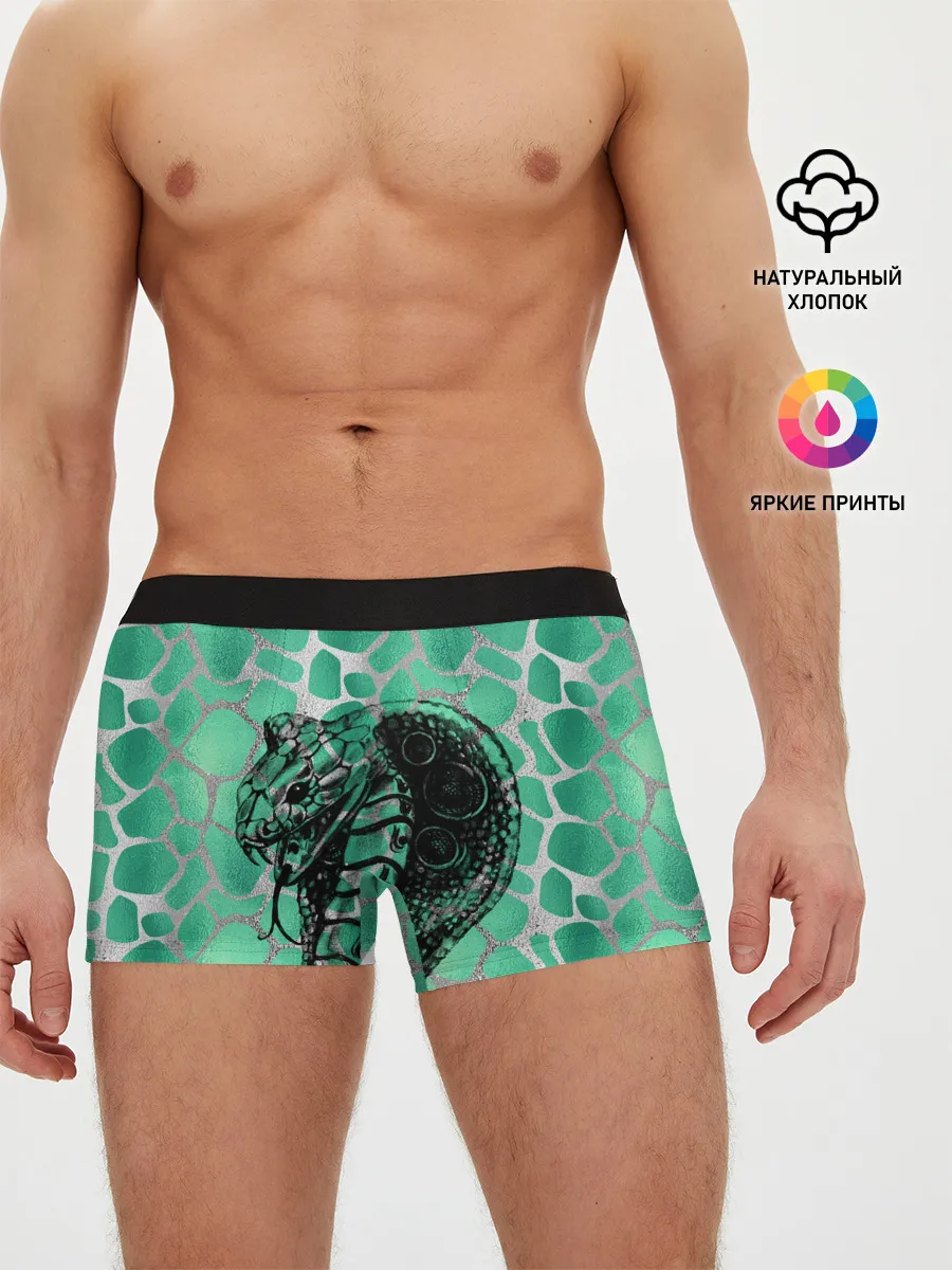 Мужские трусы боксеры / Кобра. Змеиный стиль