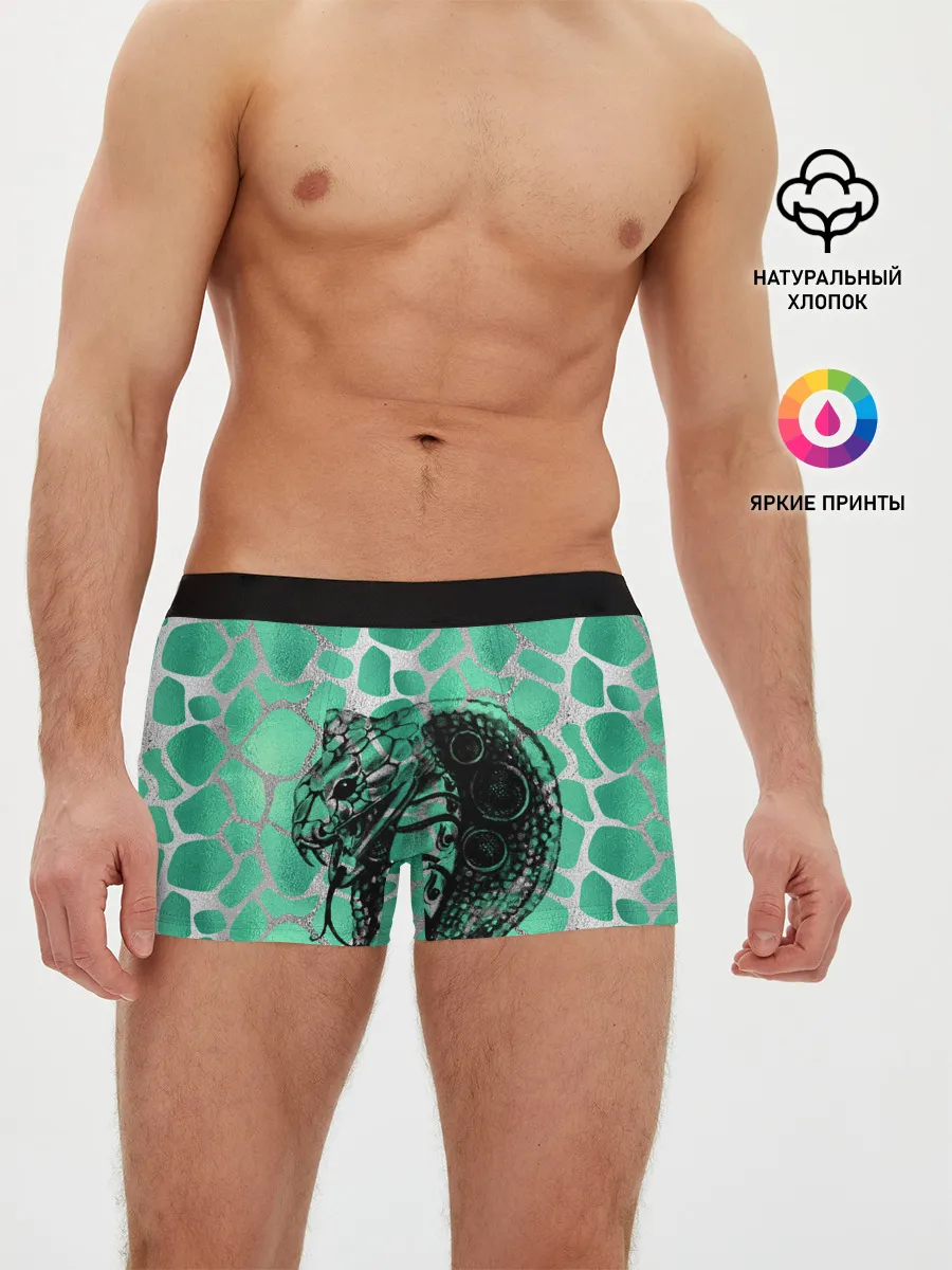 Мужские трусы боксеры / Кобра. Змеиный стиль