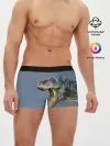 Мужские трусы боксеры / Хищный динозавр | Dino