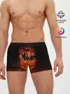Мужские трусы боксеры / Ария в огне