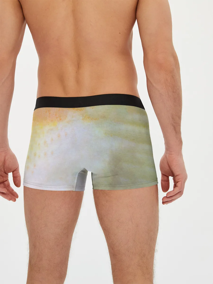 Мужские трусы боксеры / Пикник - Египтянин