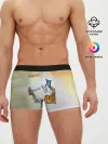 Мужские трусы боксеры / Пикник - Египтянин