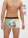 Мужские трусы боксеры / Пикник - Египтянин