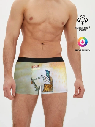 Мужские трусы боксеры / Пикник - Египтянин