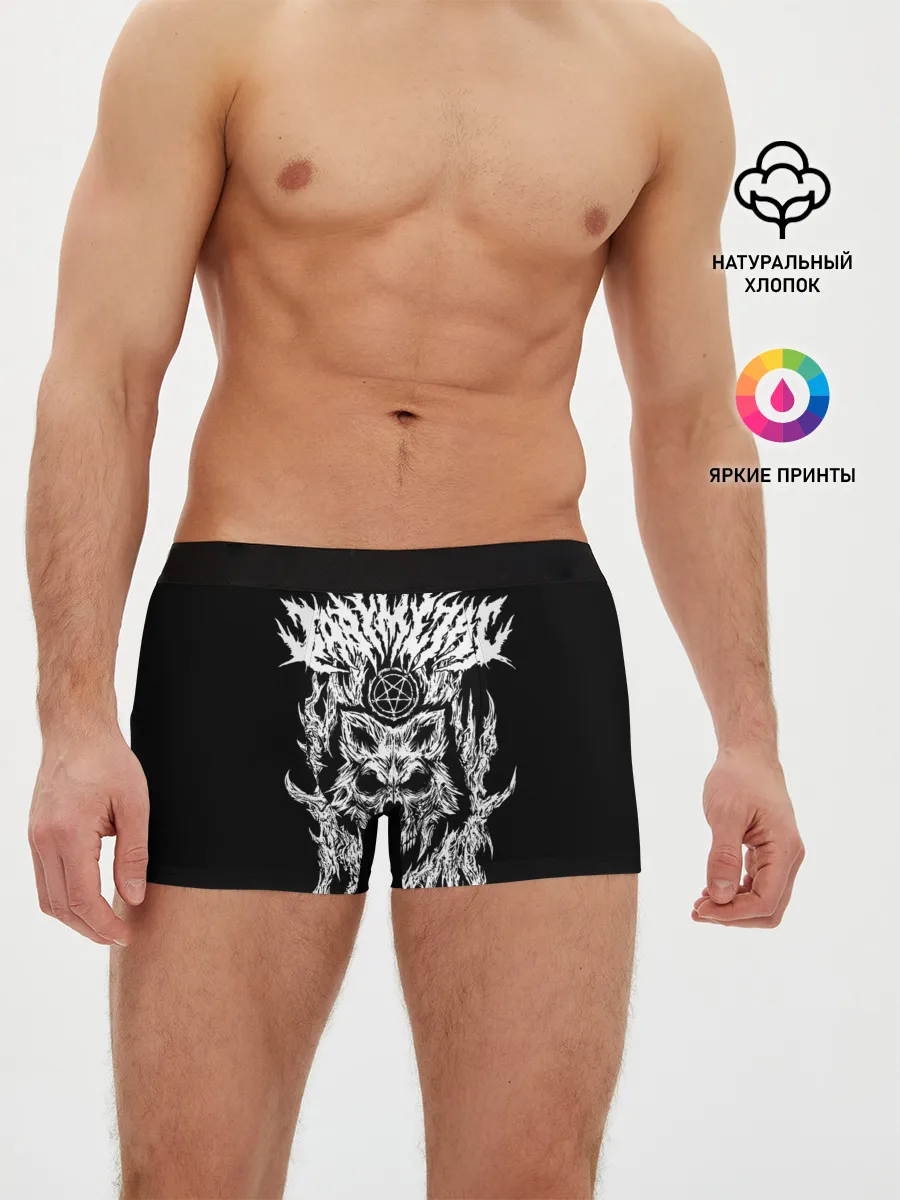 Мужские трусы боксеры / Baby Metal Wolf
