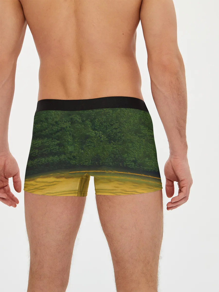 Мужские трусы боксеры / Мумий Тролль – Лира