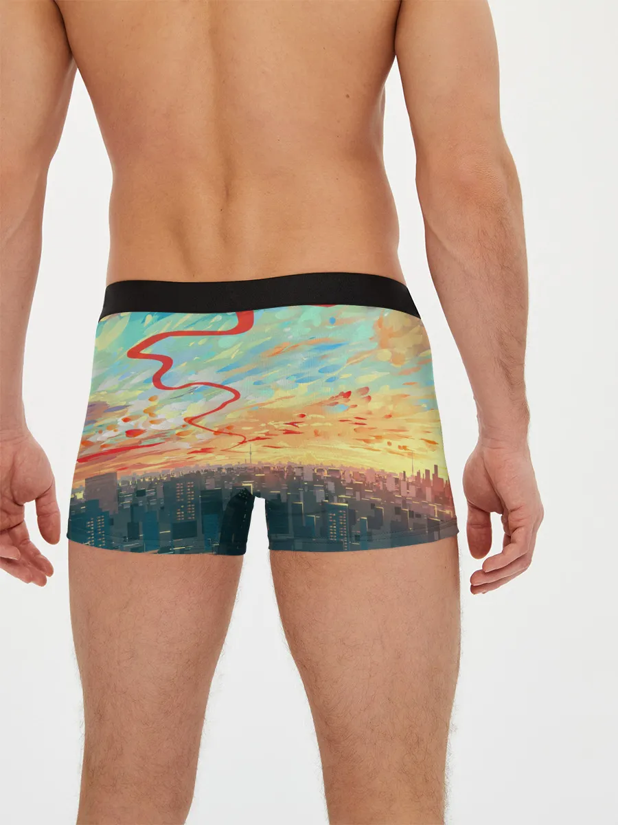 Мужские трусы боксеры / Токио красками