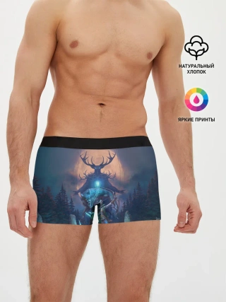 Мужские трусы боксеры / The Elder Scrolls