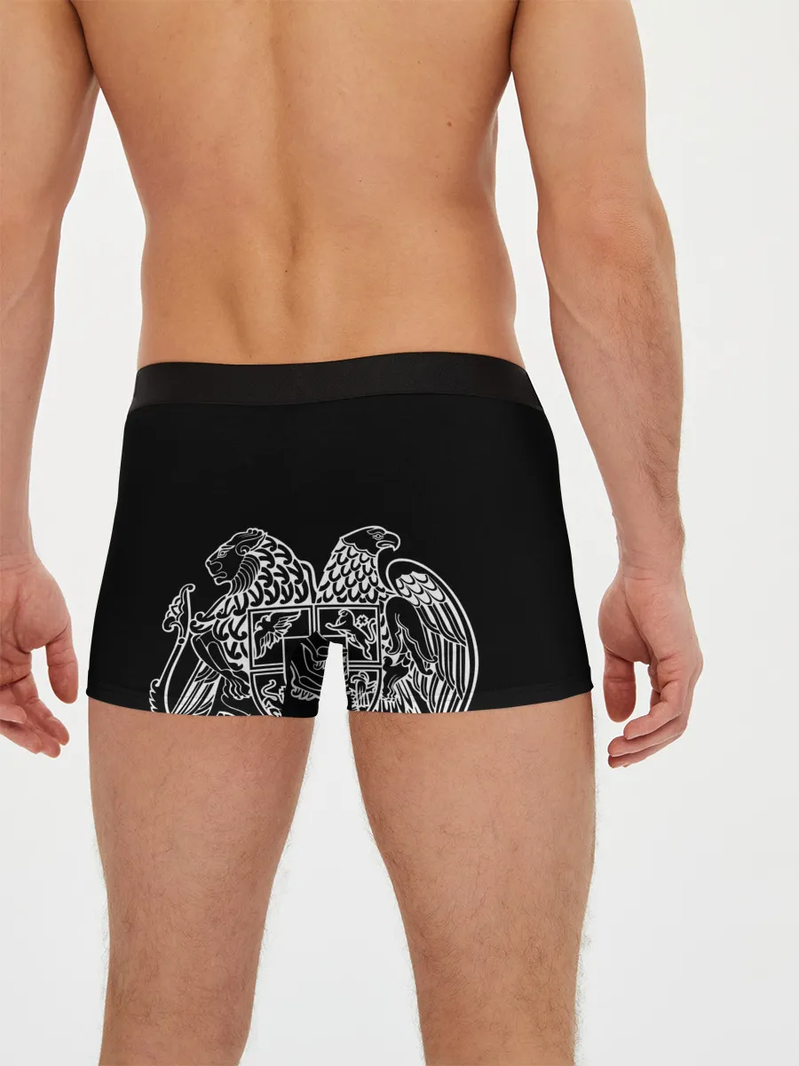 Мужские трусы боксеры / Герб Армении и флаг
