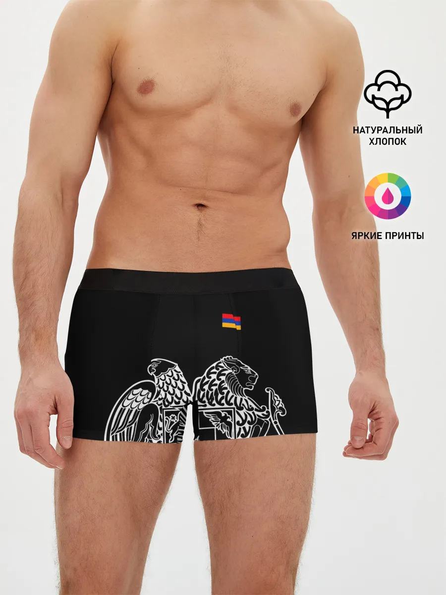 Мужские трусы боксеры / Герб Армении и флаг